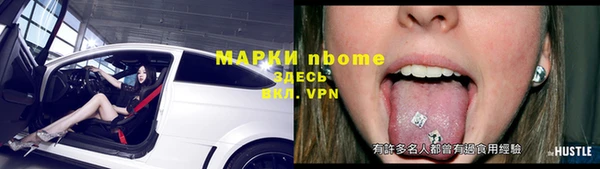 прущие грибы Приозерск