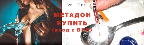 прущие грибы Приозерск