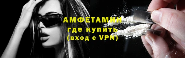 прущие грибы Приозерск