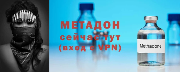 прущие грибы Приозерск