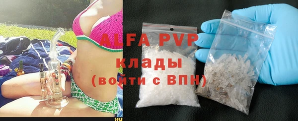 прущие грибы Приозерск