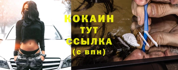 прущие грибы Приозерск