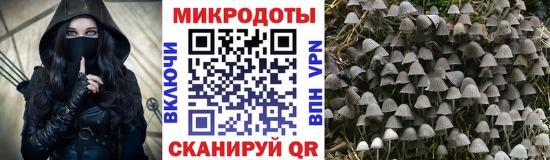 Псилоцибиновые грибы Magic Shrooms Чухлома